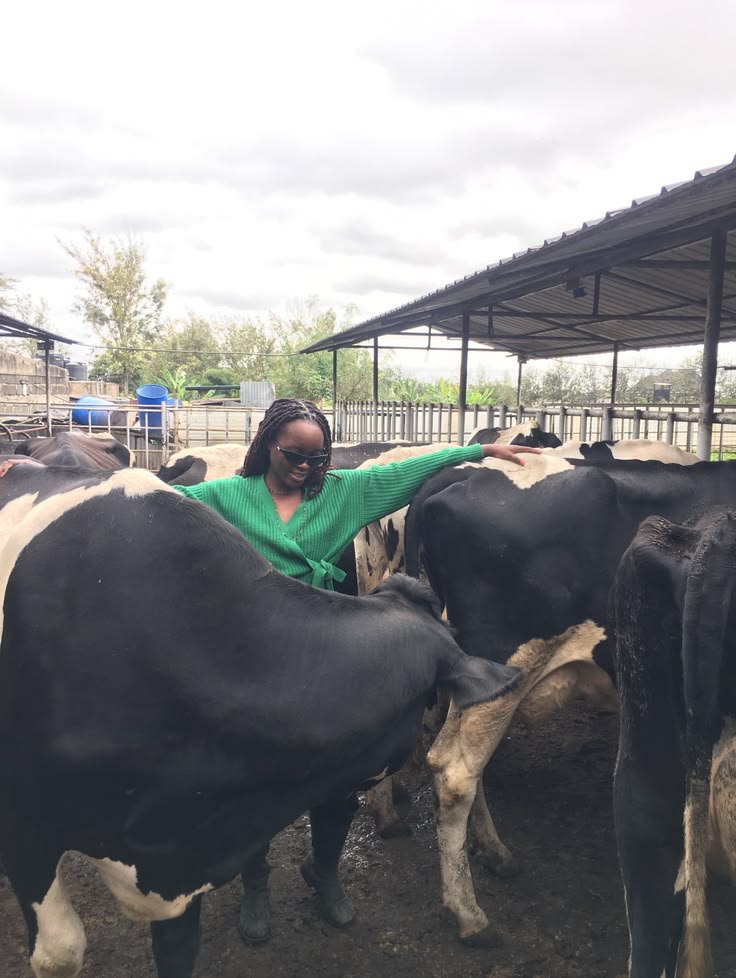 The White Gold Revolution - Dairy Farming